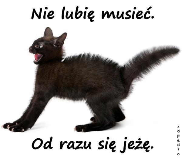 Nie lubię musieć. Od razu się jeżę