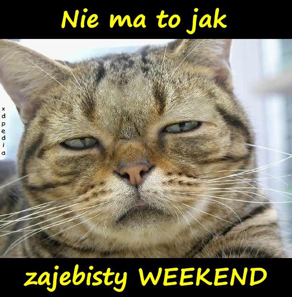 Nie ma to jak zajebisty WEEKEND