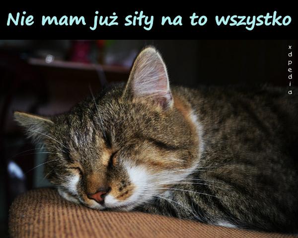 Nie mam już siły na to wszystko