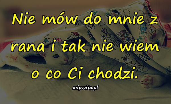 Nie mów do mnie z rana i tak nie wiem o co Ci chodzi