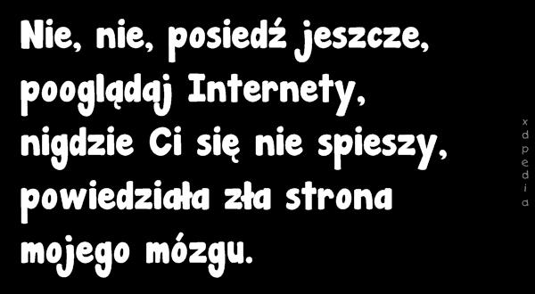 Nie, nie, posiedź jeszcze, pooglądaj Internety, nigdzie Ci