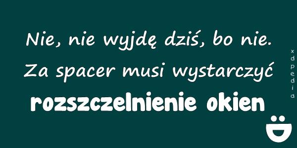 Nie, nie wyjdę dziś, bo nie. Za spacer musi wystarczyć