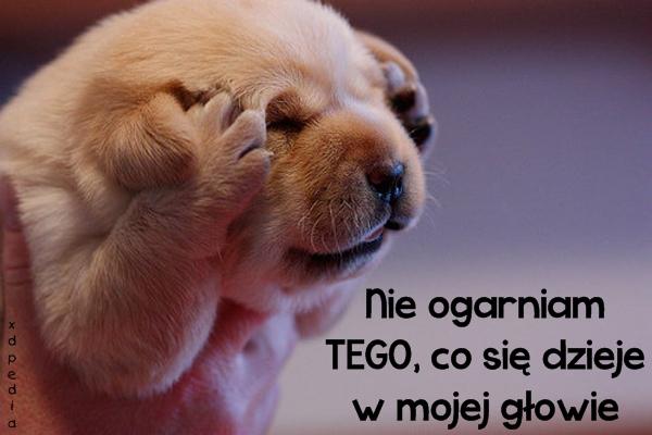 Nie ogarniam TEGO, co się dzieje w mojej głowie