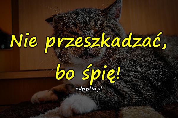 Nie przeszkadzać, bo śpię