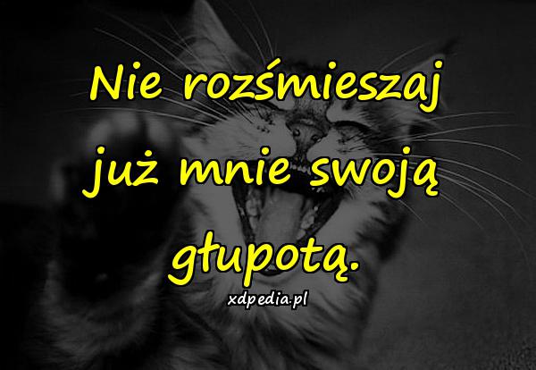 Nie rozśmieszaj już mnie swoją głupotą