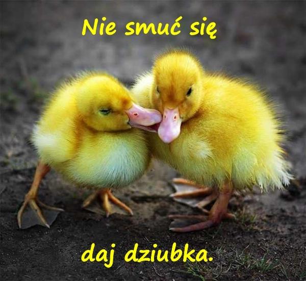 Nie smuć się daj dziubka