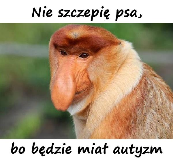 Nie szczepię psa, bo będzie miał autyzm