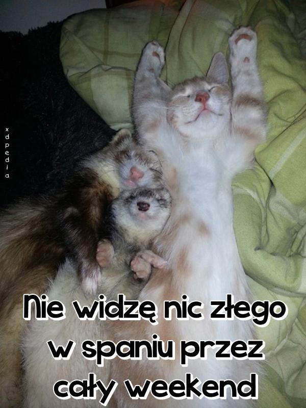 Nie widzę nic złego w spaniu przez cały weekend