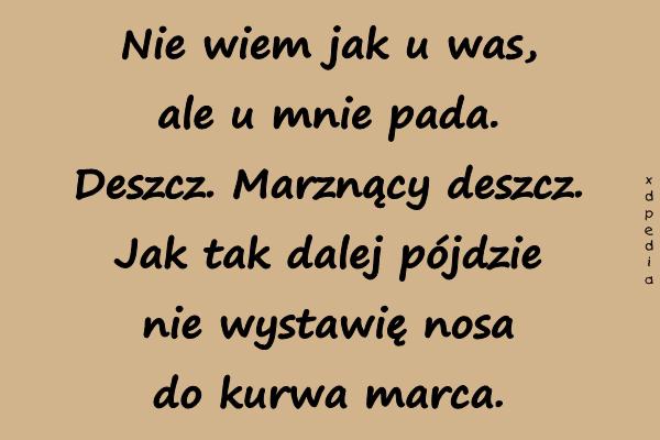 Nie wiem jak u was, ale u mnie pada. Deszcz. Marznący