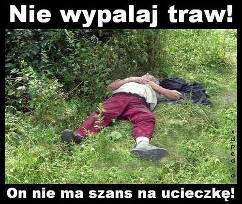 Nie wypalaj traw! On nie ma szans na ucieczkę