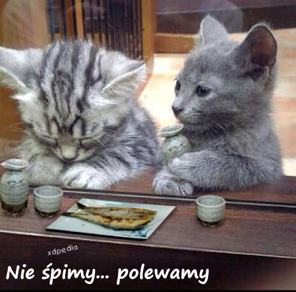 Nie śpimy... polewamy