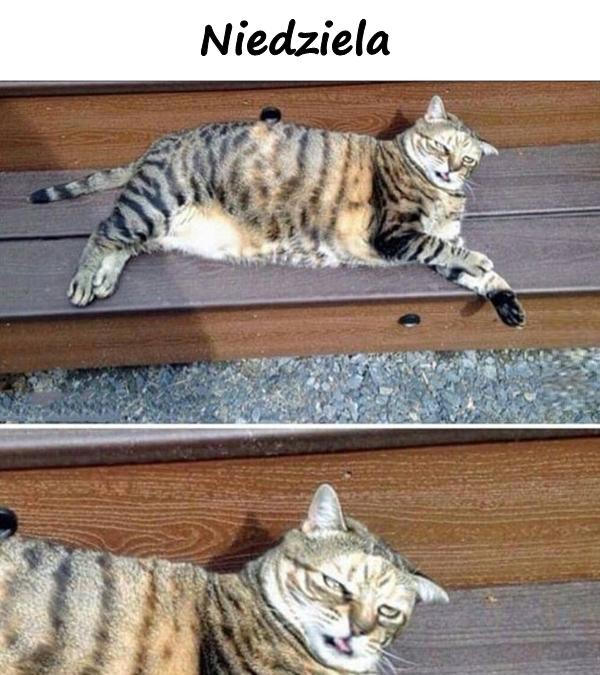 Niedziela