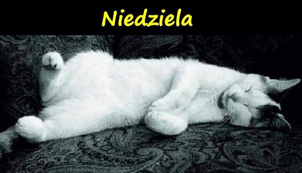 Niedziela