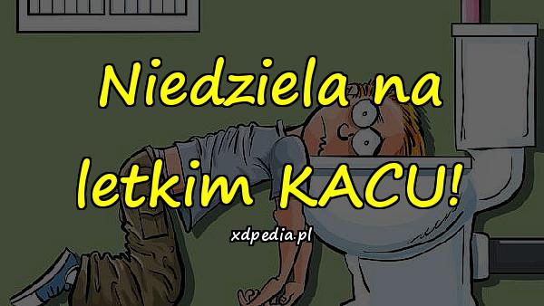 Niedziela na letkim KACU