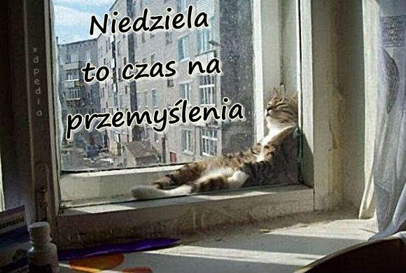 Niedziela to czas na przemyślenia... :P