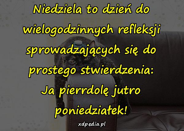 Niedziela to dzień do wielogodzinnych refleksji