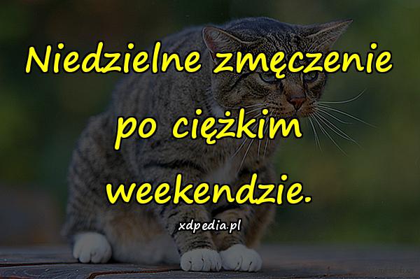 Niedzielne zmęczenie po ciężkim weekendzie