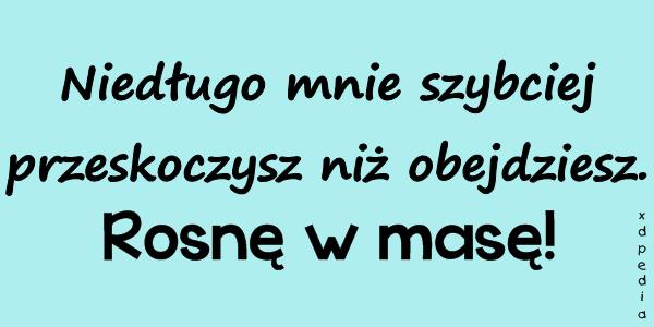 Niedługo mnie szybciej przeskoczysz niż obejdziesz. Rosnę w