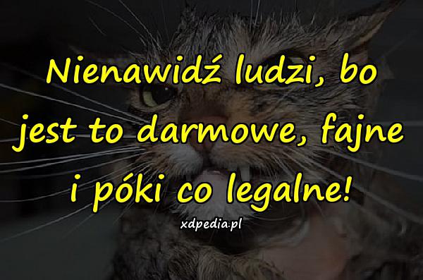 Nienawidź ludzi, bo jest to darmowe, fajne i póki co