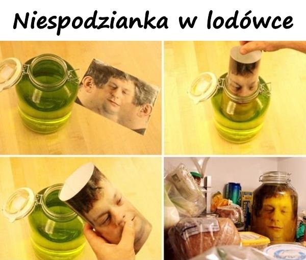 Niespodzianka w lodówce