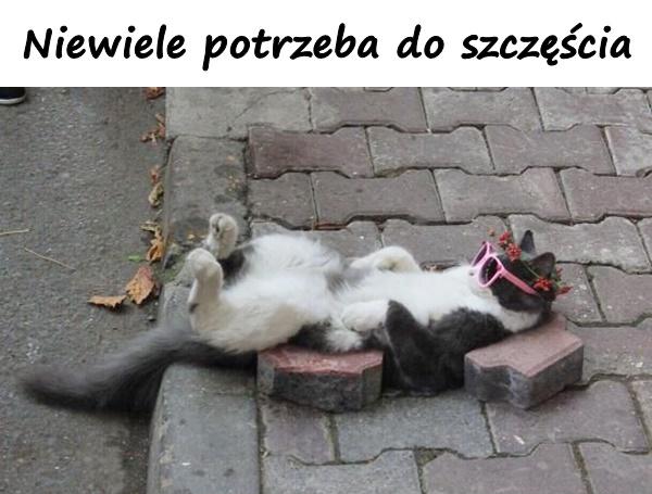 Niewiele potrzeba do szczęścia