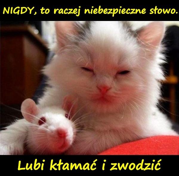 NIGDY, to raczej niebezpieczne słowo. Lubi kłamać i zwodzić