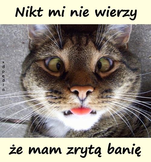 Nikt mi nie wierzy, że mam zrytą banię