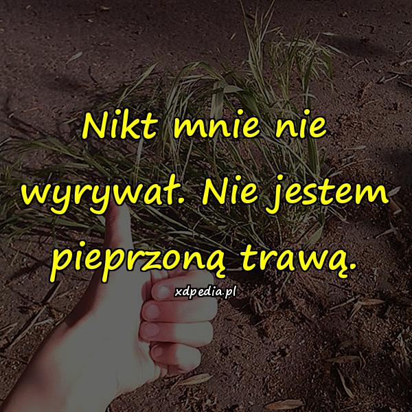 Nikt mnie nie wyrywał. Nie jestem pieprzoną trawą