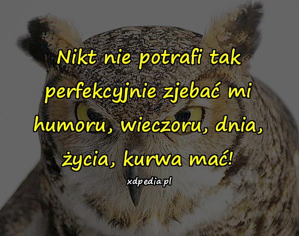 Nikt nie potrafi tak perfekcyjnie zjebać mi humoru