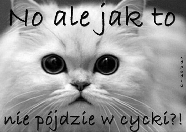 No ale jak to nie pójdzie w cycki