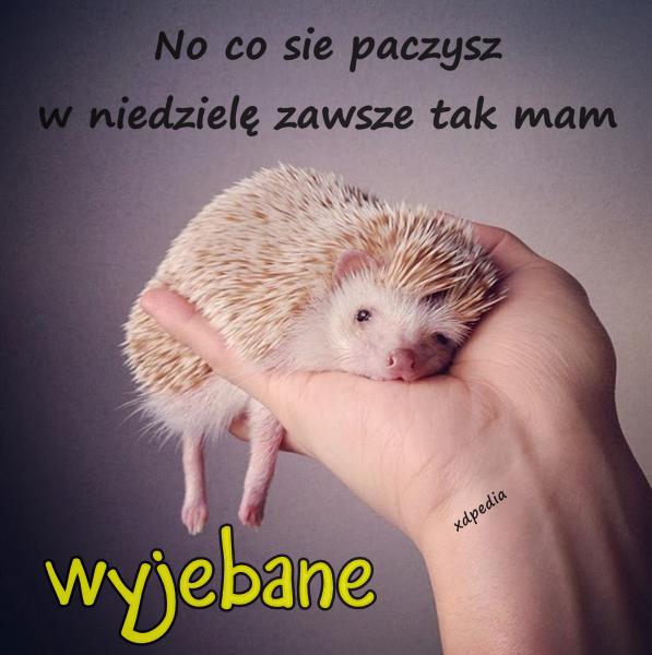 No co sie paczysz w niedzielę zawsze tak mam... wyjebane