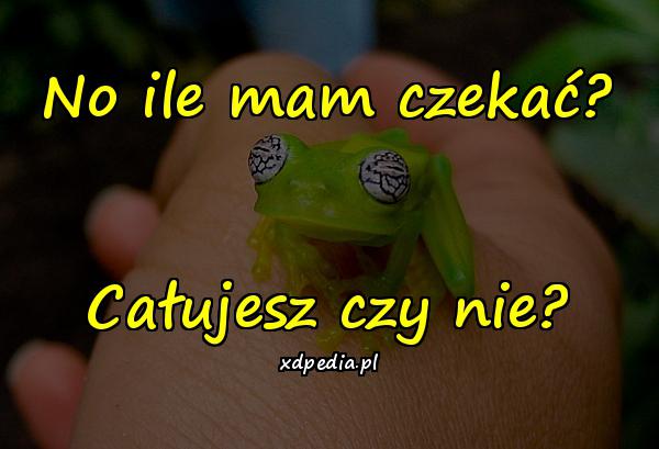 No ile mam czekać? Całujesz czy nie