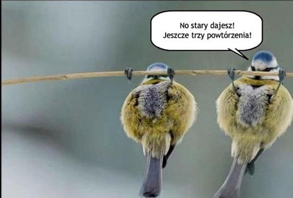 No stary dajesz! jeszcze trzy powtórzenia