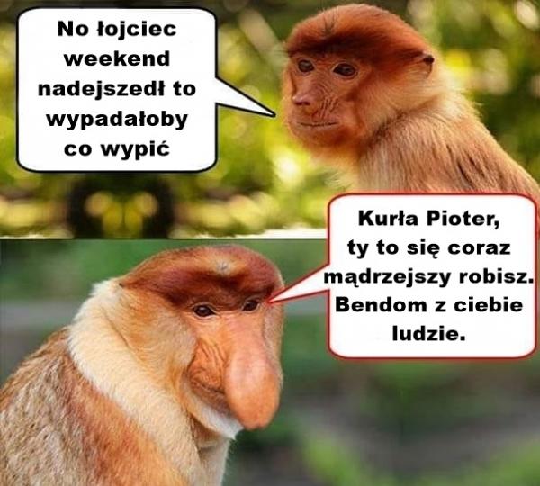 - No łojciec weekend nadejszedł to wypadałoby co wypić