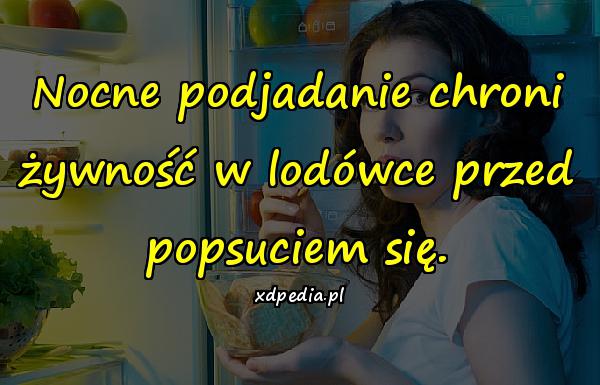 Nocne podjadanie chroni żywność w lodówce przed popsuciem