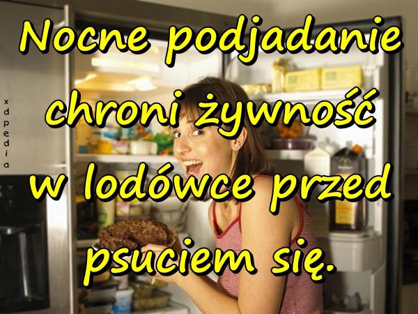 Nocne podjadanie chroni żywność w lodówce przed psuciem się