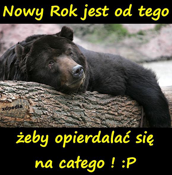 Nowy Rok jest od tego żeby opierdalać się na całego ! :P