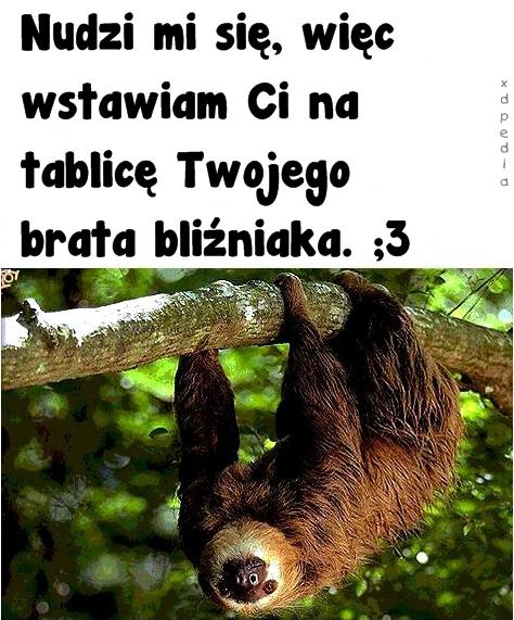 Nudzi mi się, więc wstawiam Ci na tablicę Twojego brata