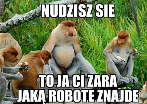 Nudzisz sie? To ja ci zara jaką robote znajde