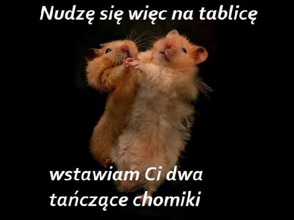 Nudzę się więc na tablicę wstawia Ci dwa tańczące chomiki