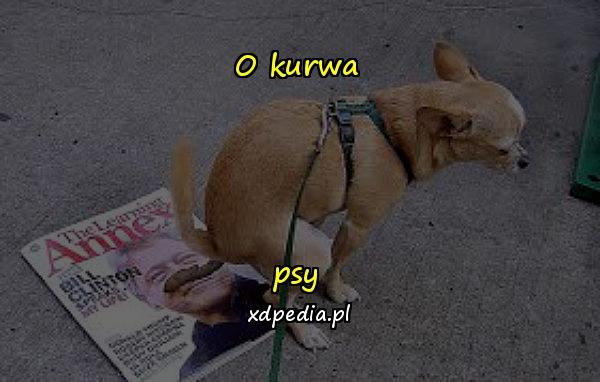 O kurwa psy