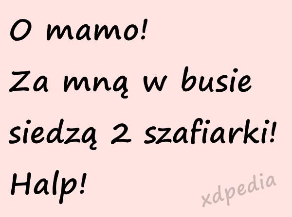 O mamo! Za mną w busie siedzą 2 szafiarki! Halp