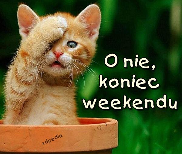 O nie, koniec weekendu