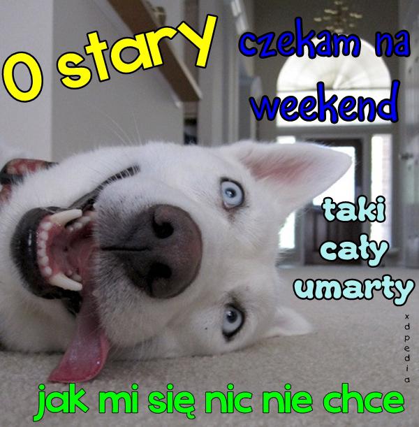 O stary jak mi się nic nie chce, czekam na weekend, taki