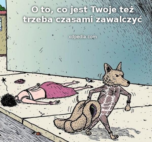 O to, co jest Twoje czasem też trzeba zawalczyć