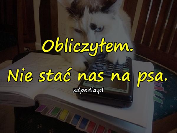 Obliczyłem. Nie stać nas na psa