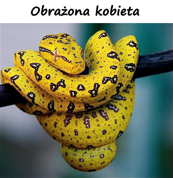 Obrażona kobieta