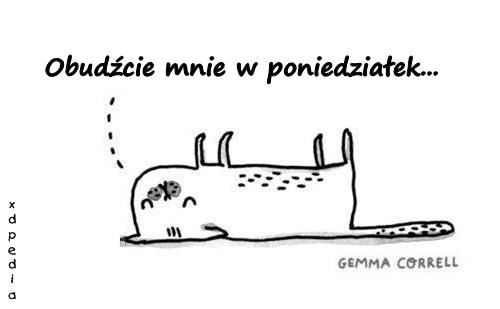 Obudźcie mnie w poniedziałek