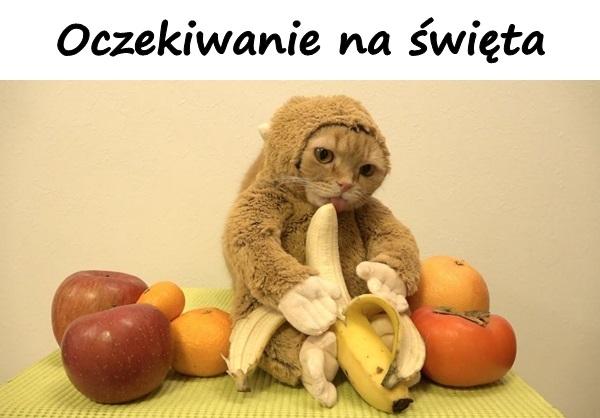 Oczekiwanie na święta