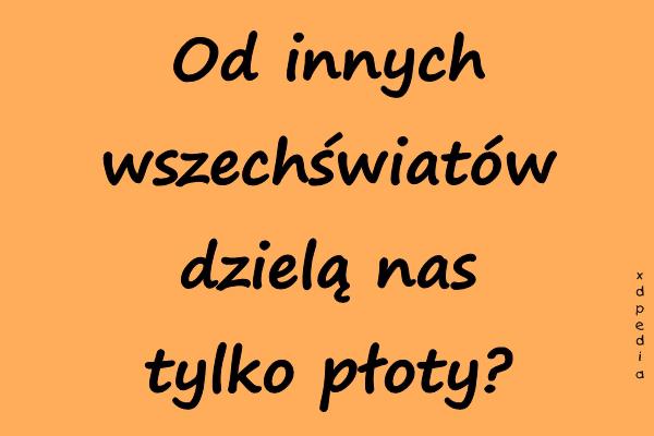 Od innych wszechświatów dzielą nas tylko płoty